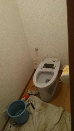 3992